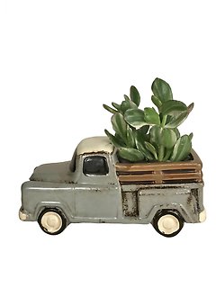 Jade Truck Planter